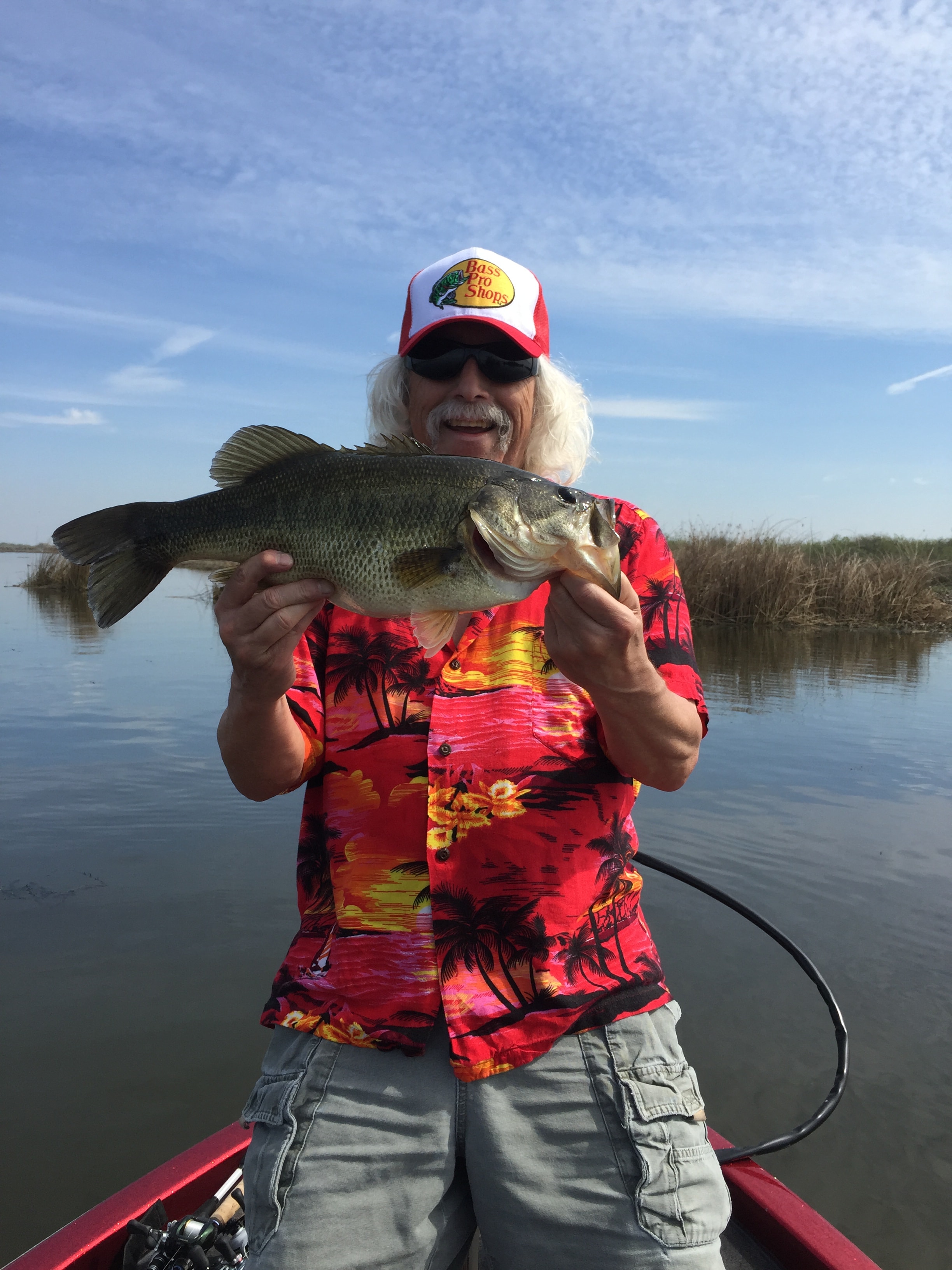 Largemouth Bass catch