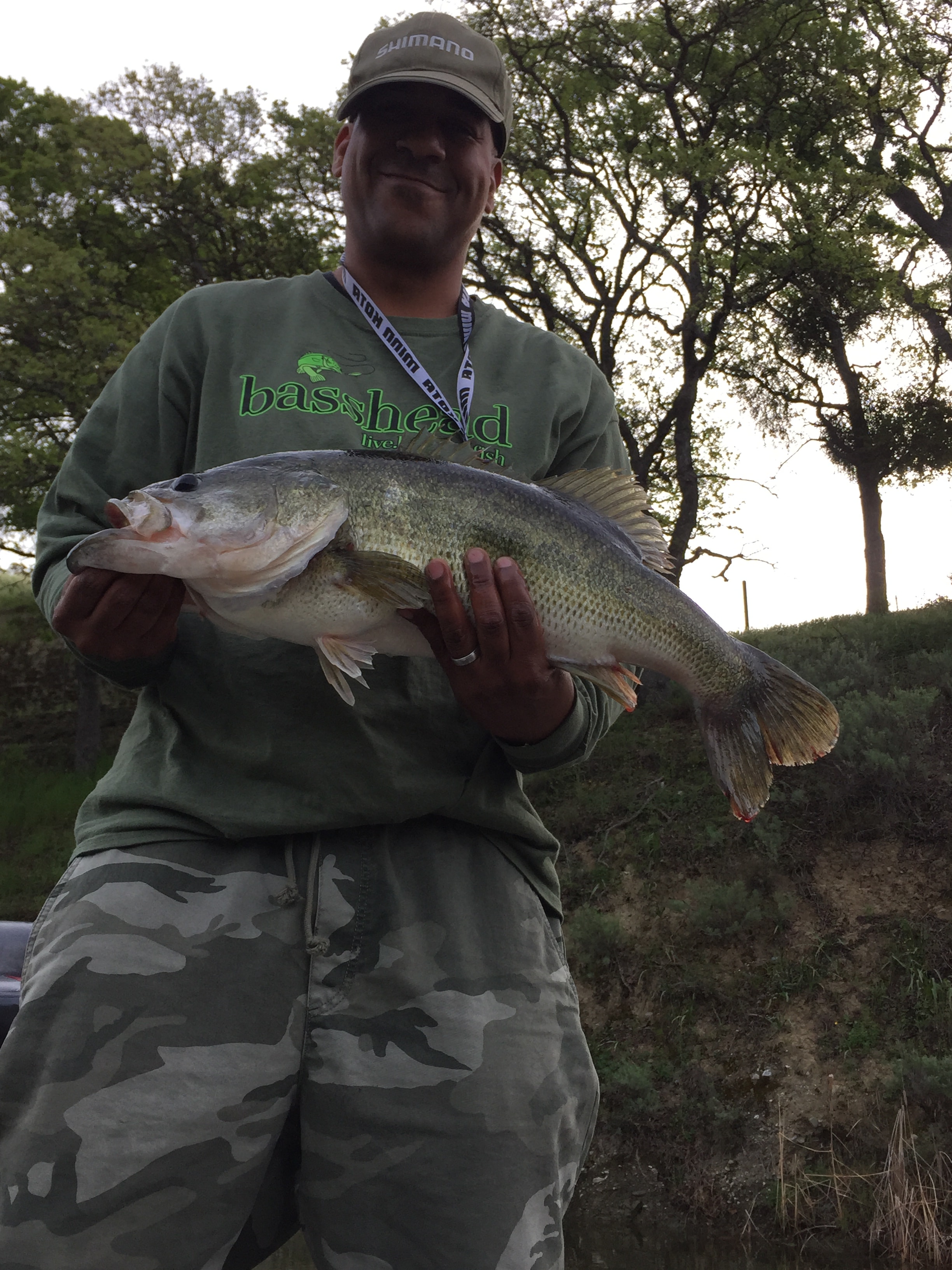 Largemouth Bass catch